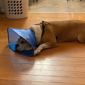 Meet your Posher, Colin